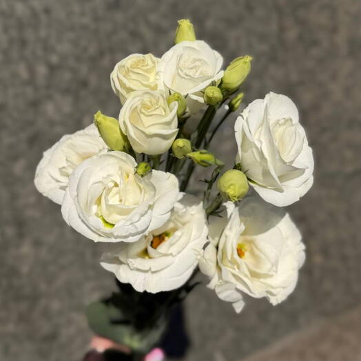 Flower land
