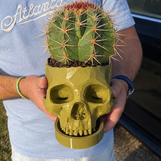KAShPO 3D
