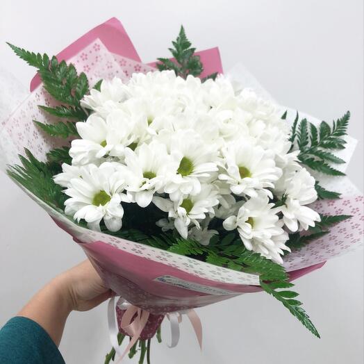 Daisies