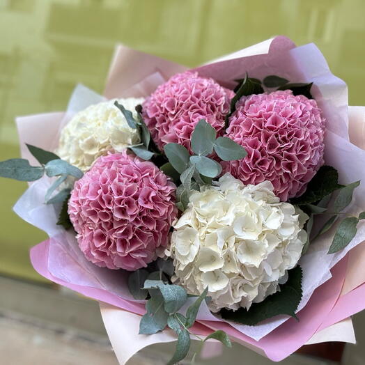 Hortensias rose et blanc