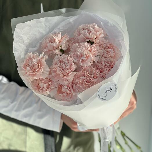 Mono de Dianthus