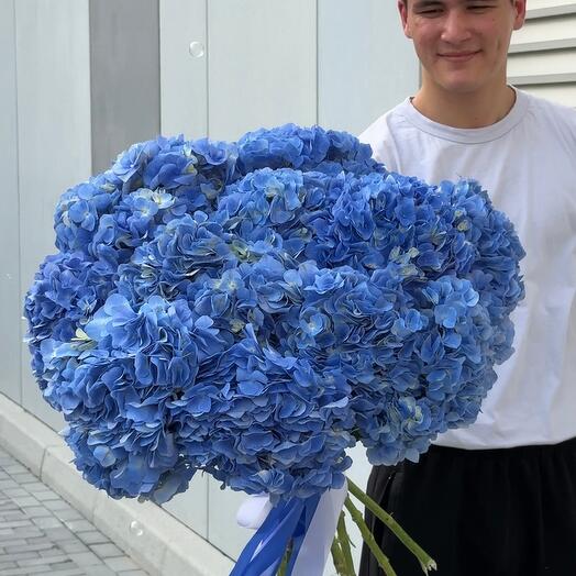 Bouquet of 15 blue hydrangeas