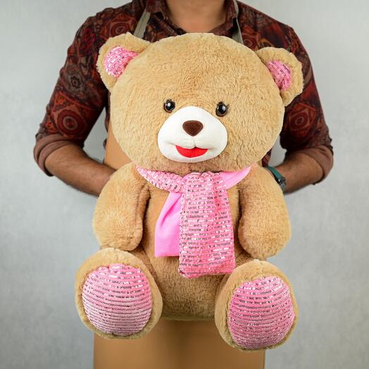 Light Brown Teddy with Silver Lace Worked Pink Tie - H 60 W 40