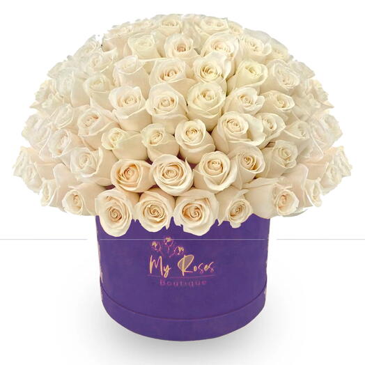 Dark Purple Velvet Box With 50 White Roses