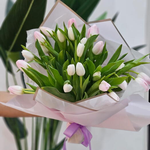 24 white   pink tulips