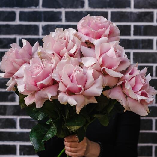 Охапка Эквадорских розовых роз