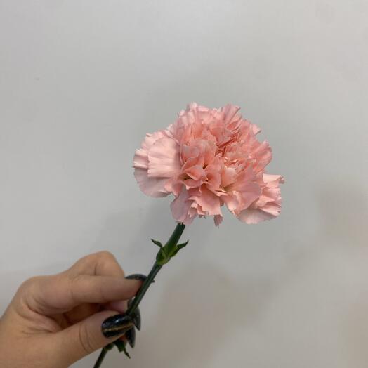 ФлоБутон