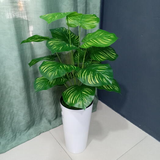 SvetFlowers