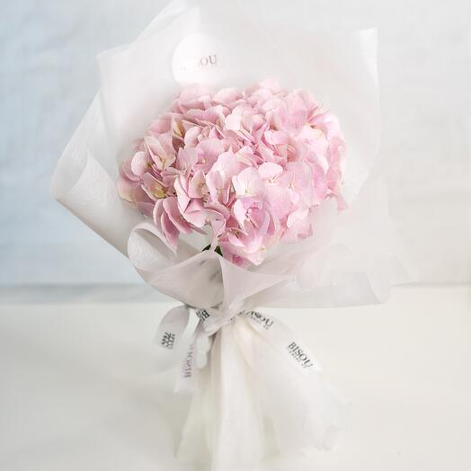 Single pink Hydrangea