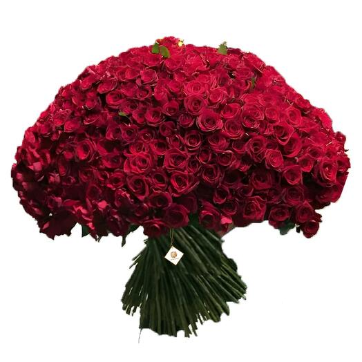 Snow Flake - 300 Red Roses Bunch