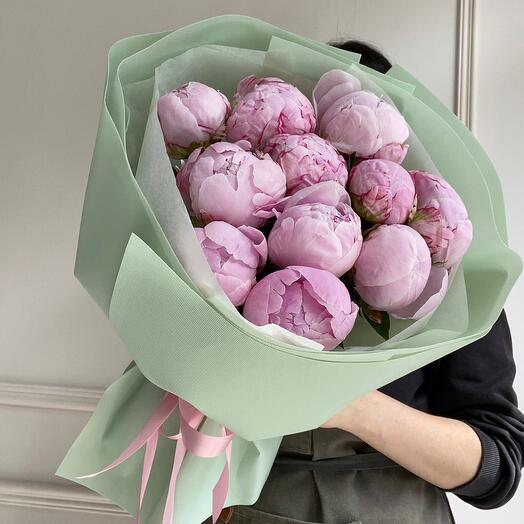 Пионы Sara Bernar