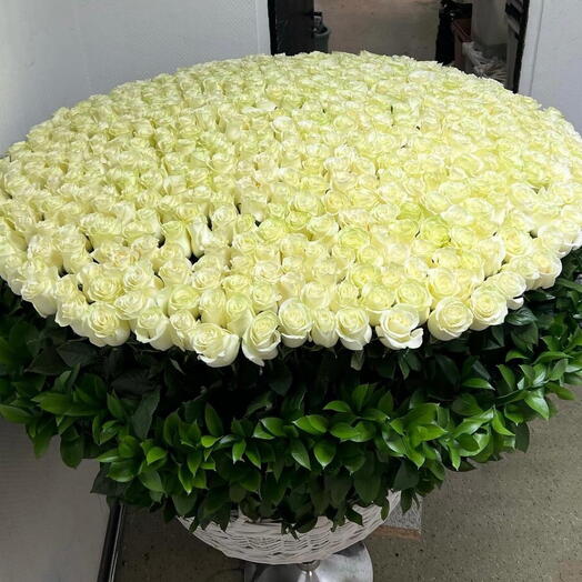 401 white roses basket