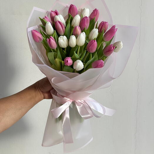 25 Pink and White Tulip