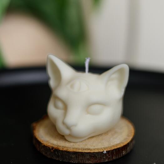 Трёхглазая кошка