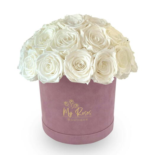 Lilac Velvet Box With 36 white Roses