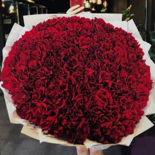 101 французская 🌹