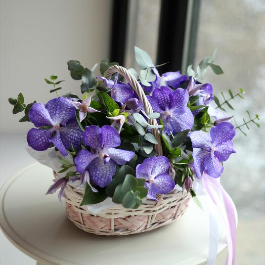Lovely flowers