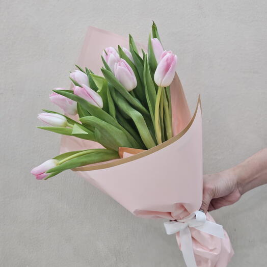 12 pink tulips