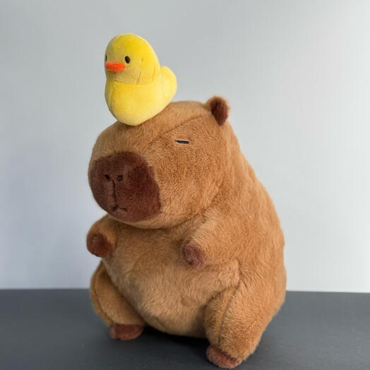 Капибара с уточкой