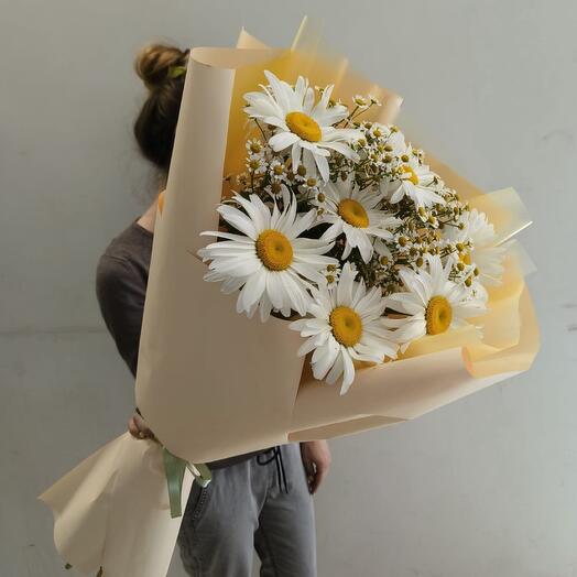 Любимые ромашки