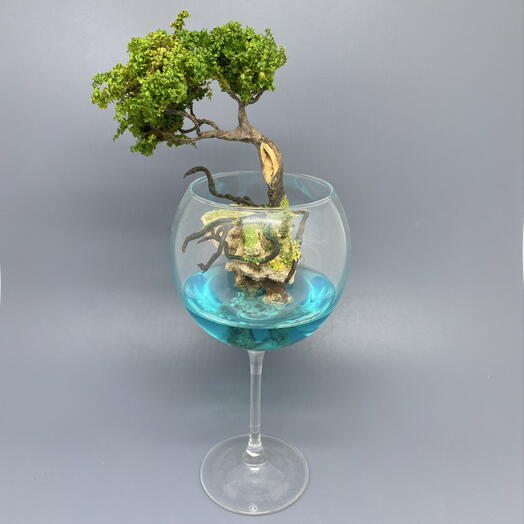 YU_MOSS