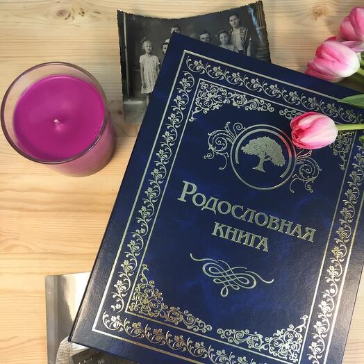 Подарочная Родословная книга-альбом «Сапфировая»