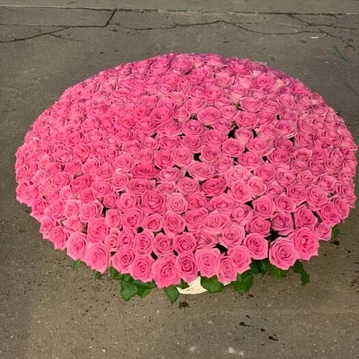 Розы в корзине💕