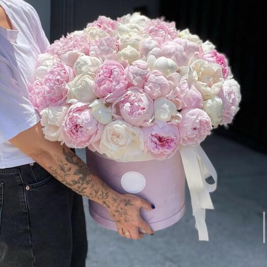 Bouquet of 51 pink and white peonies in hat box