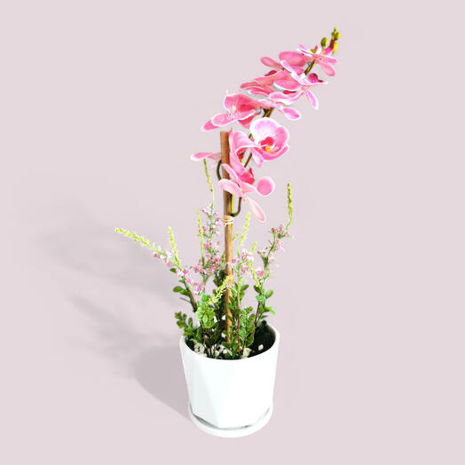 Artificial Orchid Display