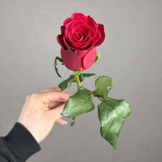 Happy Flowers
