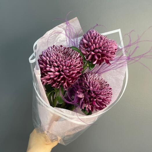 Studio 3.5.8