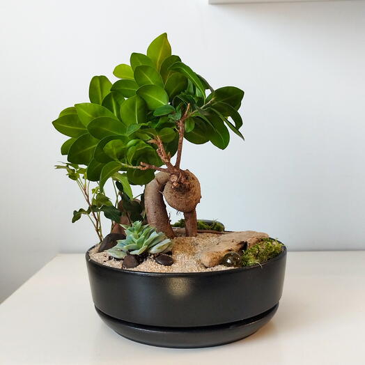 Natural’s vessels