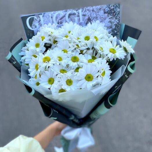 Хризантемы ромашки 🥰
