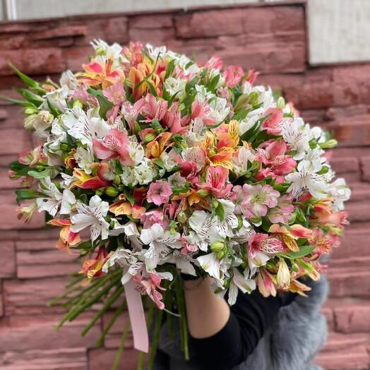 51 bright alstroemeria under the ribbon
