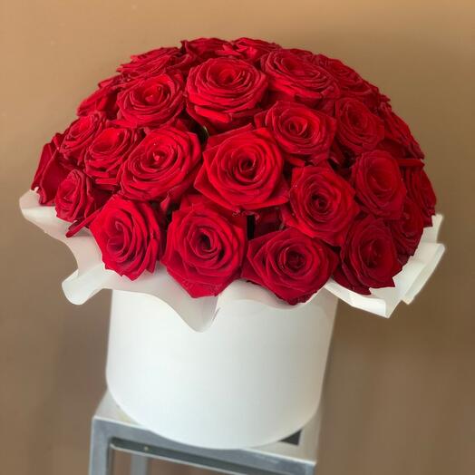 Красные розы в коробке 🌹