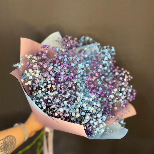 Фиолетовая и голубая гипсофила