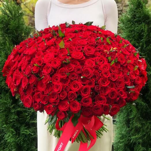 Bouquet of 301 Red Roses
