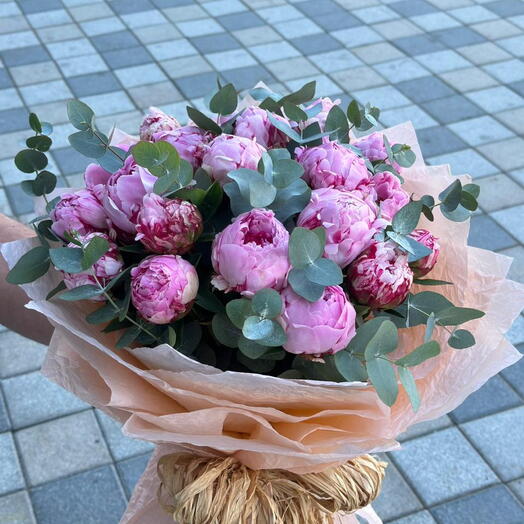 Elegant Bouquet: 25 Stems of Fresh Sarah Bernardt Peonies with Eucalyptus Leaves