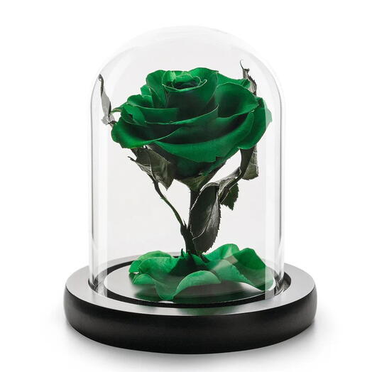 Glass Dome Vase With Single rose Green