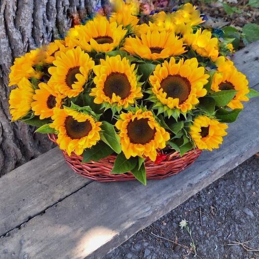 25 sunflowers in box