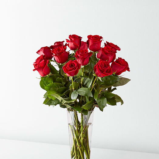 Red roses in Vase