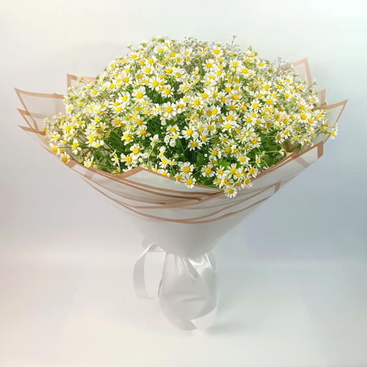 Chamomile Bouquet