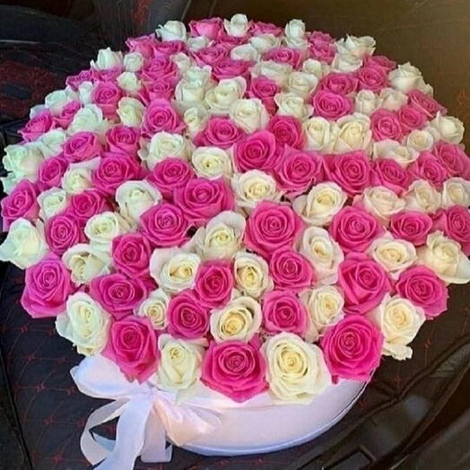 150 White and Pink roses in white box