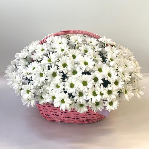 Большая корзина с кустовыми хризантемами 🌼🌼🌼