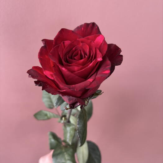 Flowers for you