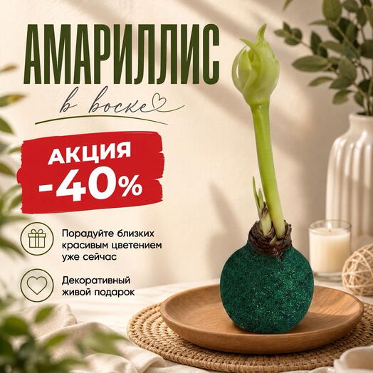AmaryLove