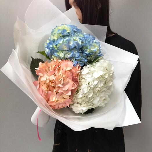 Bouquet of royal hydrangeas