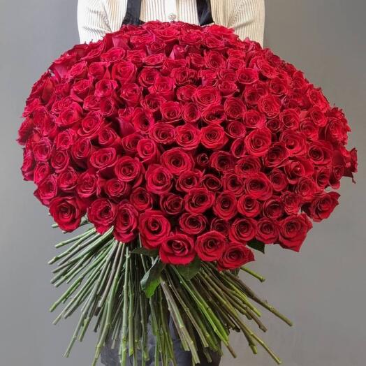 Giant bouquet of 250 roses