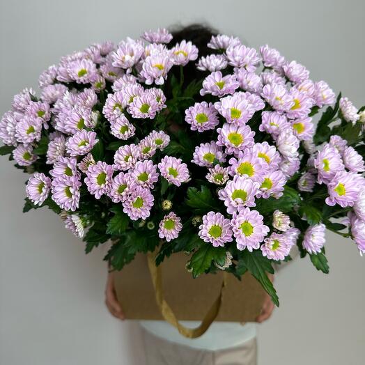 Mono bouquet of chrysanthemums bush variety "Santini" 15