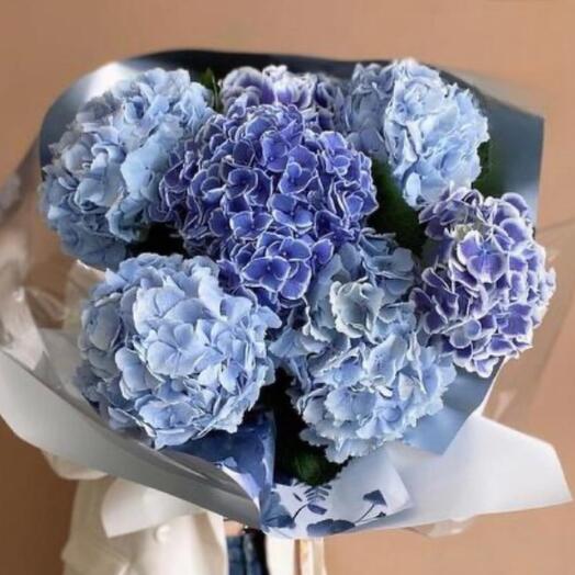 Bouquet of blue mixed hydrangeas